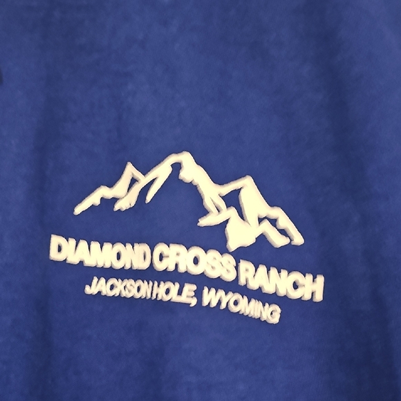 Free People Blue Long Sleeve Tee with Outdoor Graphic - Picture 3 of 6